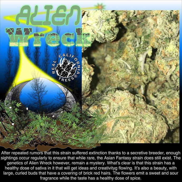 Alien Wreck