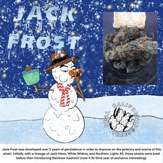 Jack Frost