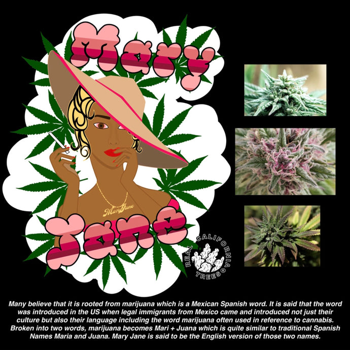 Mary Jane
