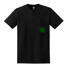 Indica & Sativa leaf